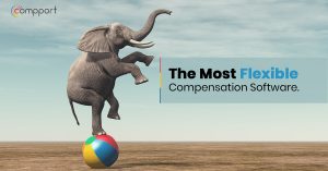 Compport Review – A Very Capable & Flexible Compensation Management Software
