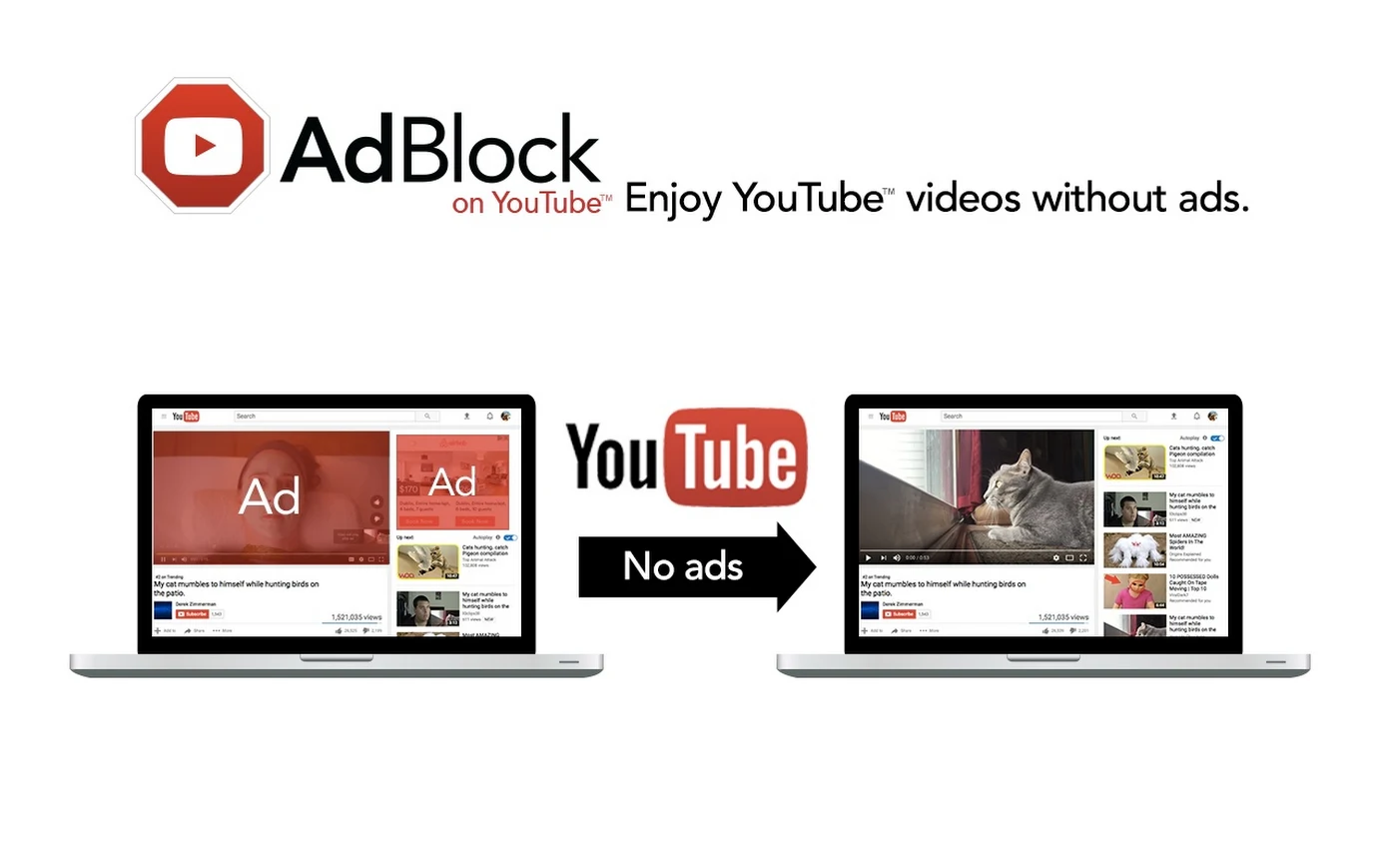 How To Block Youtube Ads With Youtube AdBlock
